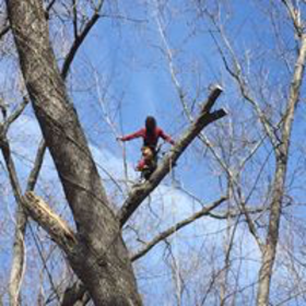 Avatar of clarksproclimbers
